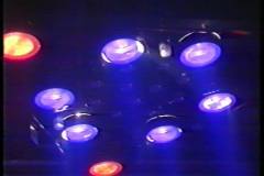 1653723_232319100225834_1225039146_n